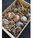 Ocean Jasper Palms 1KG bulk lot