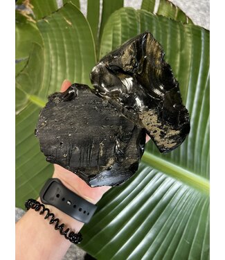 Rough Gold Sheen Obsidian Size 6 [500-599gr]
