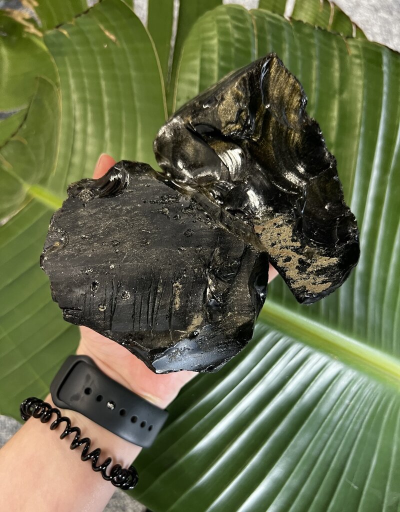 Rough Gold Sheen Obsidian Size 6 [500-599gr]