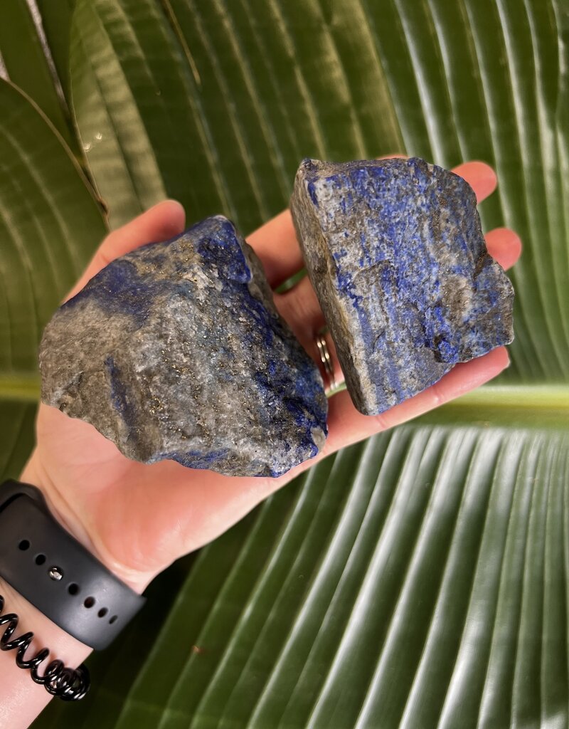 Rough Lapis Lazuli Size 5 [400-499gr] *disc.*