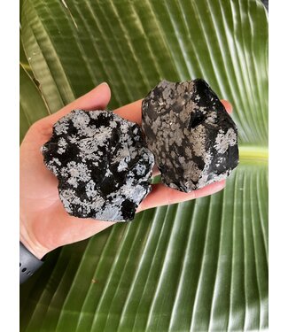 Rough Snowflake Obsidian Size 2 [100-199gr]