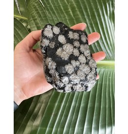 Rough Snowflake Obsidian Size 6 [500-599gr]