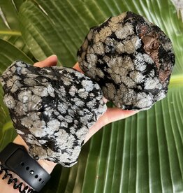 Rough Snowflake Obsidian Size 8 [700-799gr]