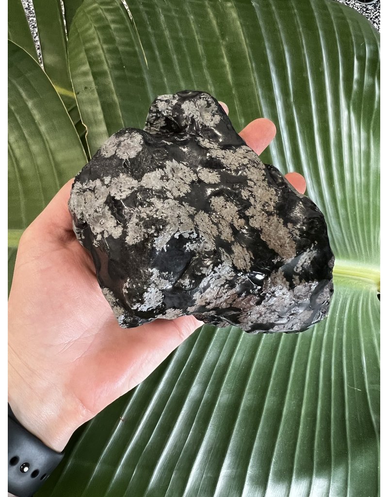 Rough Snowflake Obsidian Size 9 800 9gr The Raw Rock Shop Inc