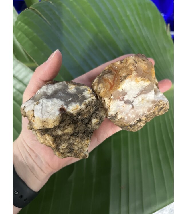 Rough Flower Agate Size 4 [300-399gr]