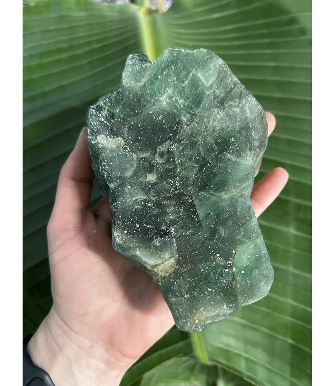 Rough Fluorite Size 12 [1100-1199gr]