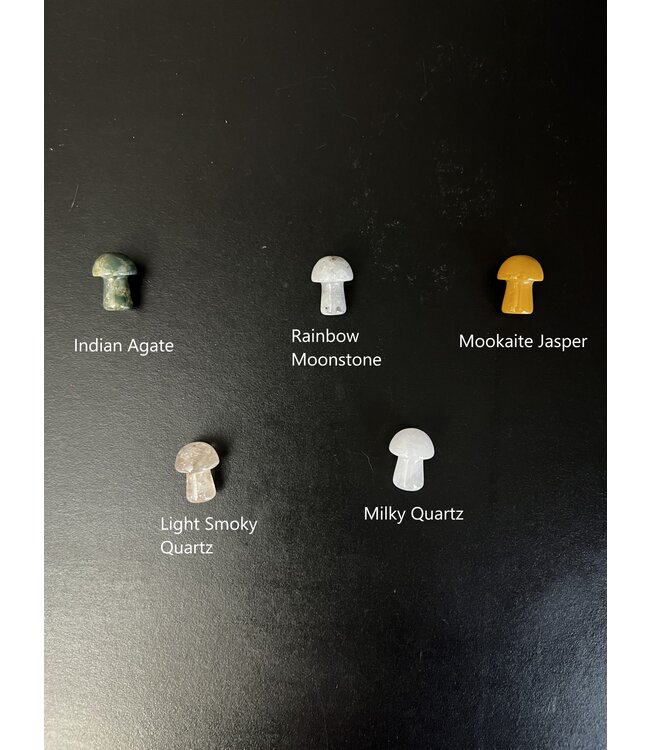 Mini Mushroom Carvings, 40 Types