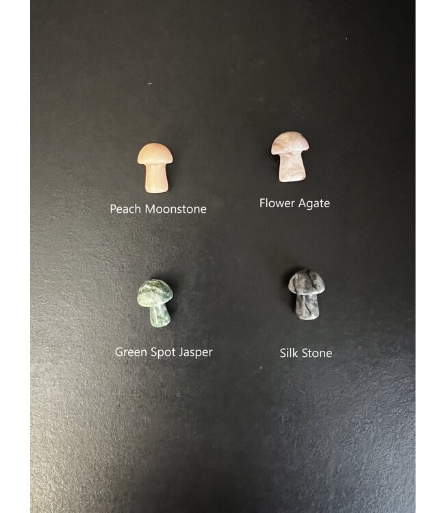 Mini Mushroom Carvings, 40 Types