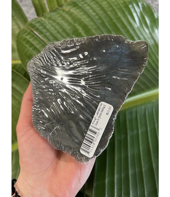 Rough Labradorite Size 6 [500-599gr]