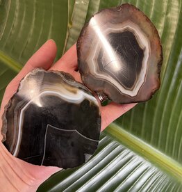 Thick Agate Slice Size 4 [125-149gr]