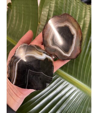 Thick Agate Slice Size 4 [125-149gr]