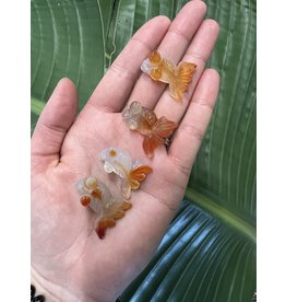 Mini Carnelian Goldfish Carving Charms 1 Pack