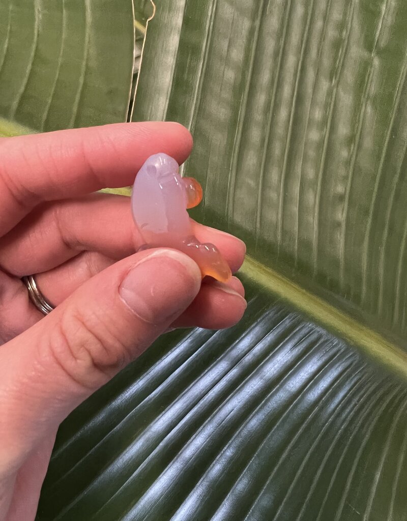 Mini Carnelian Goldfish Carving / Charm