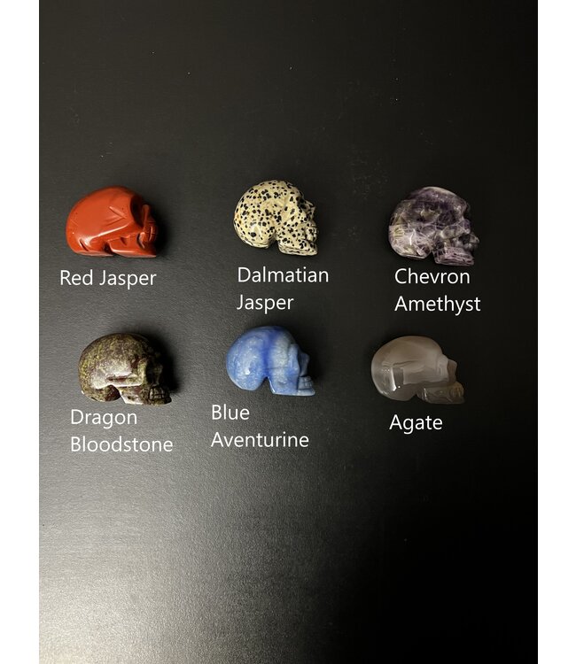 2" Skull Carving, 32 Types