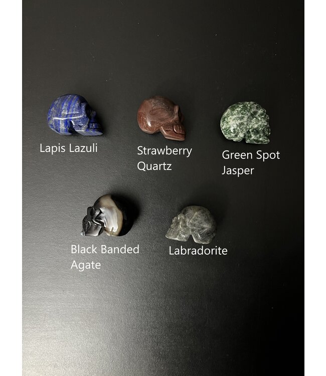 2" Skull Carving, 32 Types