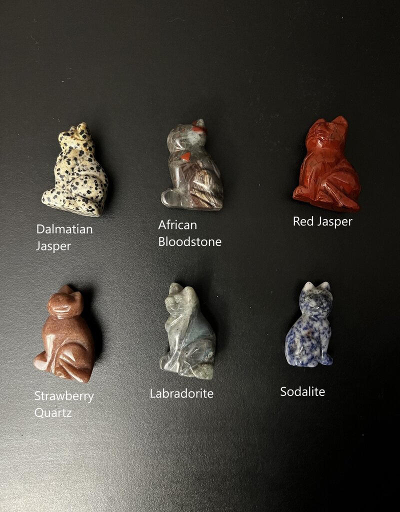 2" Cat Carving, 12 Types