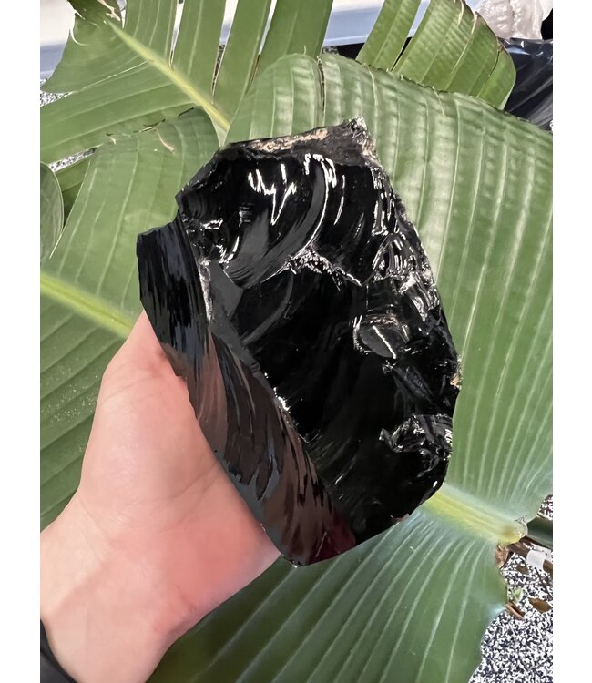 Rough Black Obsidian Size 12 [1100-1199gr]