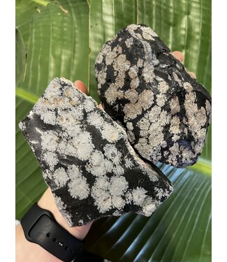 Rough Snowflake Obsidian Size 7 [600-699gr]