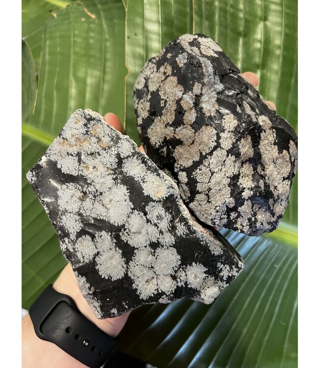 Rough Snowflake Obsidian Size 7 [600-699gr]