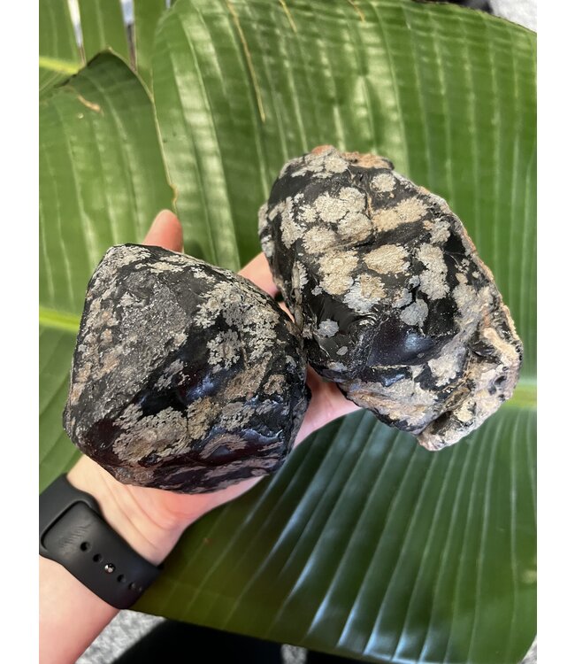 Rough Snowflake Obsidian Size 8 [700-799gr]