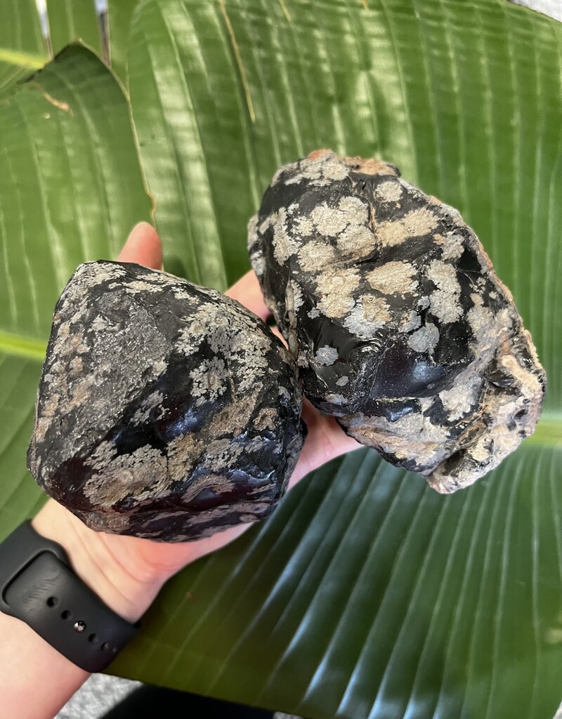 Rough Snowflake Obsidian Size 8 [700-799gr]