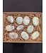 Garnierite Palms 1KG bulk lot