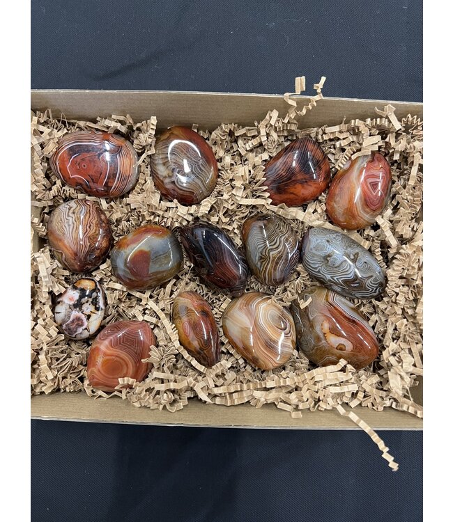 Sardonyx Palms 1KG bulk lot