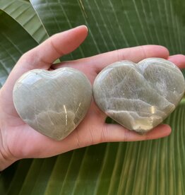 Garnierite/Green Moonstone Heart, Size Large [125-149gr] *disc*