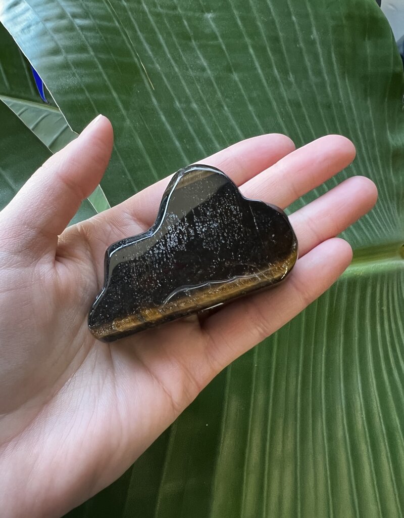 Tiger Eye Cloud Carving *disc.*