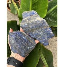 Lapis Lazuli - The Raw Rock Shop Inc.