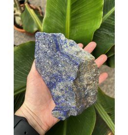 Rough Lapis Lazuli Size 9 [800-899gr]