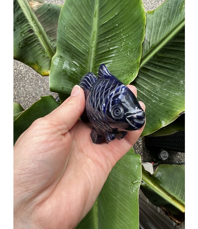 Sodalite Goldfish #2, 173gr, *disc.*