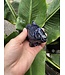 Sodalite Goldfish #2, 173gr, *disc.*