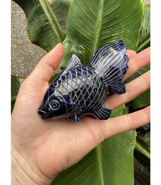 Sodalite Goldfish #2, 173gr, *disc.*