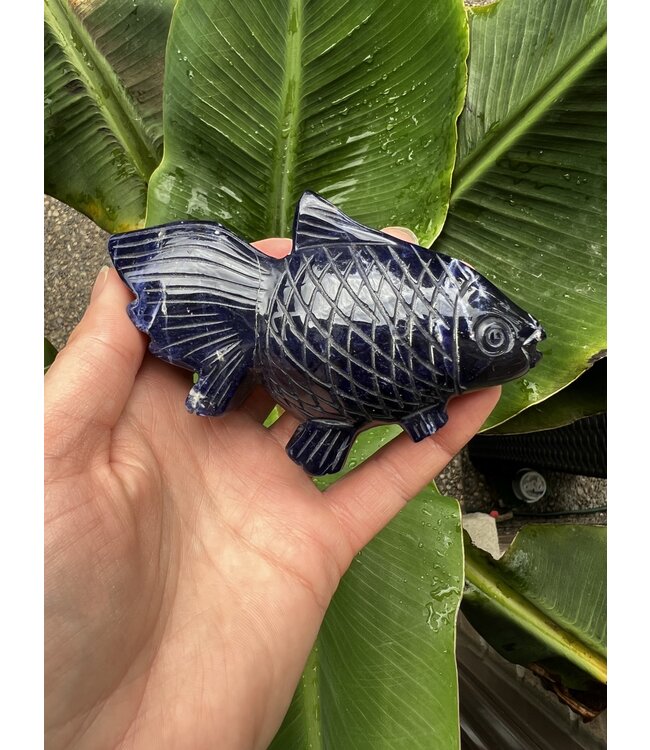 Sodalite Goldfish #2, 173gr, *disc.*