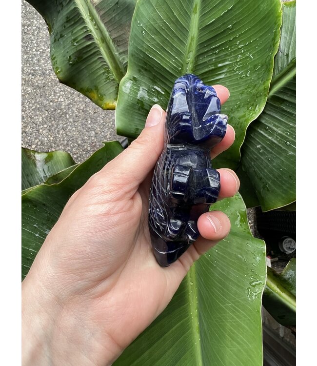 Sodalite Goldfish #2, 173gr, *disc.*