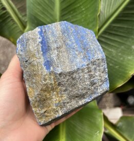 Rough Lapis Lazuli Size 12 [1100-1199gr] *disc.*