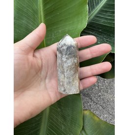 Coral Fossil Point, Size X-Large [100-124gr]