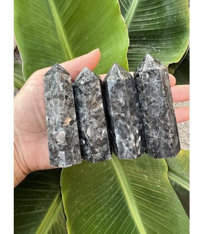 Larvikite Point, X-Large [100-124gr]