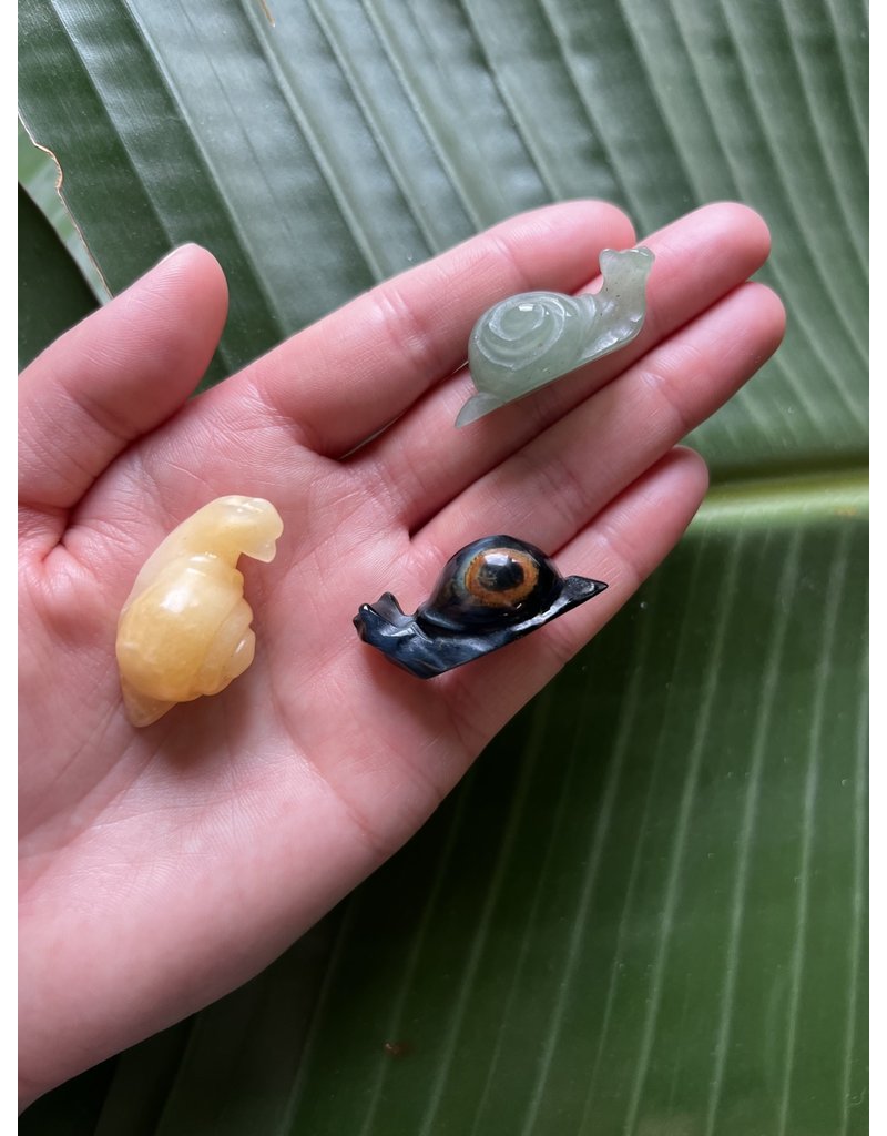 Mini Snail - The Raw Rock Shop Inc.