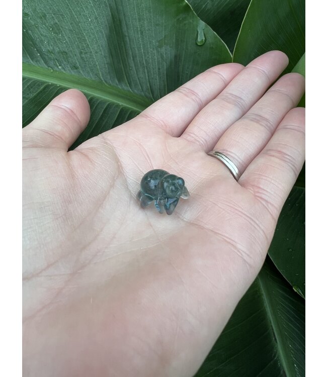 Mini Fluorite Spider