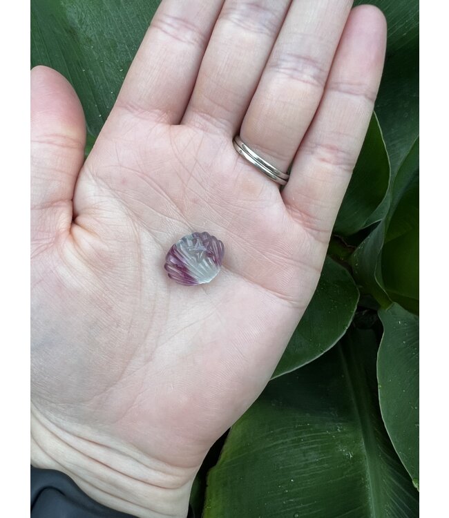 Mini Fluorite Shell