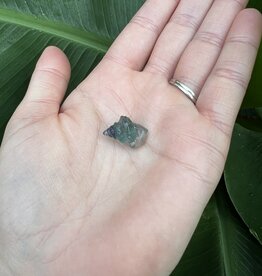 Mini Fluorite Conch Shell