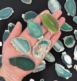 Agate Slice Size #00 Green