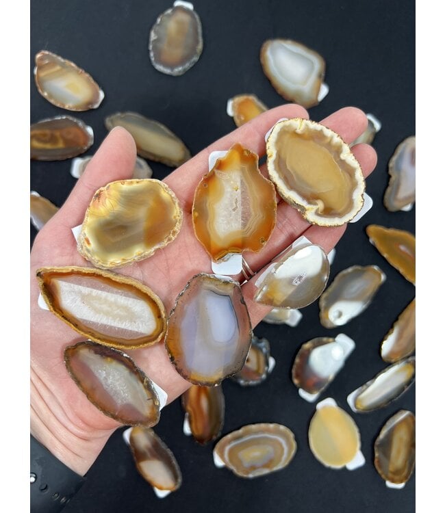 Agate Slice Size #00 Natural *disc.*