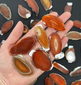Agate Slice Size #00 Red *disc.*