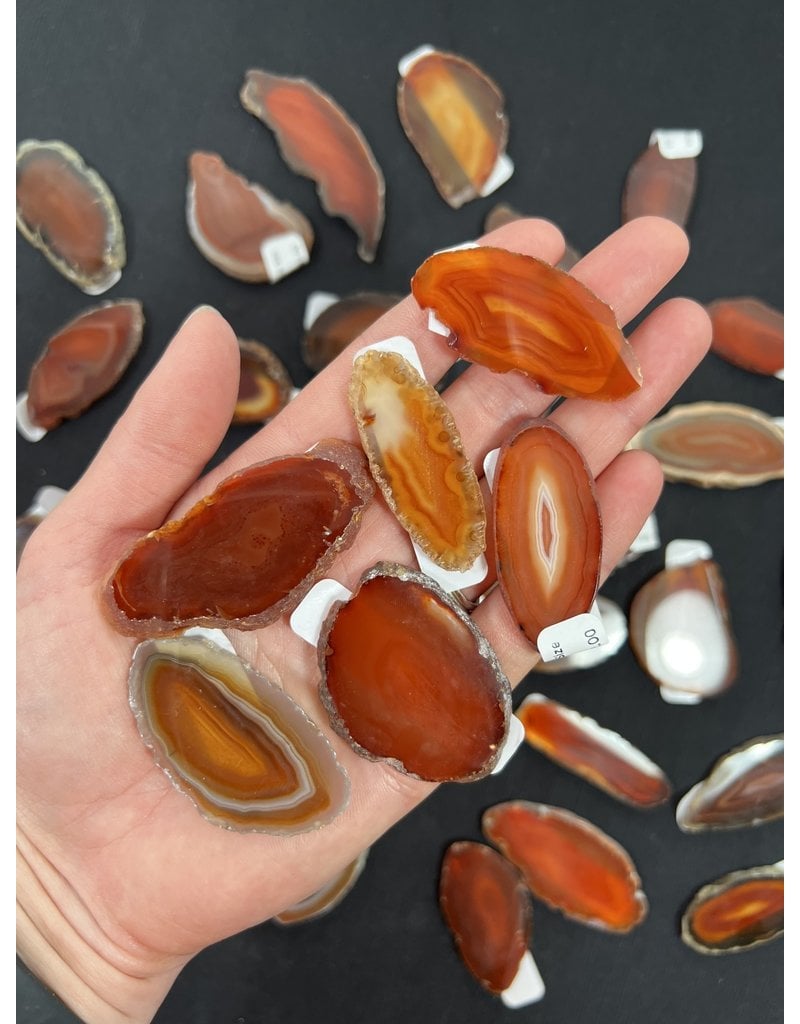 Agate Slice Size #00 Red