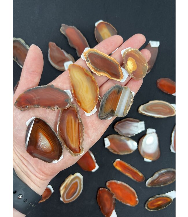 Agate Slice Size #00 Red *disc.*