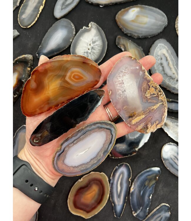 Agate Slice Size #1 Natural