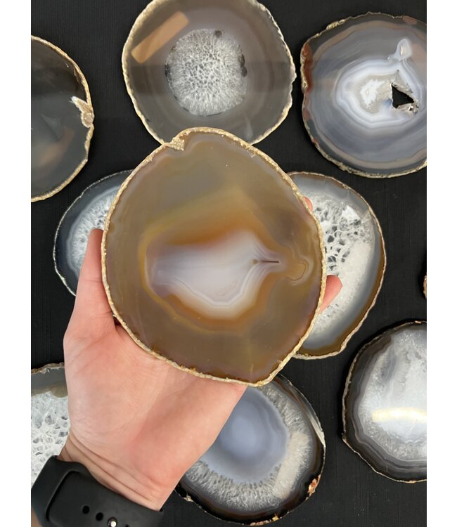 Agate Slice Size #6 Natural